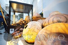 42586384 2548237558520050 8749054677821161472 O