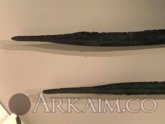 55935582 2109214599175261 1560889470117478400 N