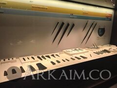 56201144 2109214852508569 5225297460452130816 N