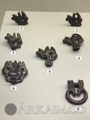 53641367 2085591861537535 978822716045918208 N