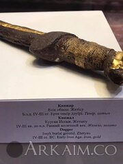 53777510 2080262285403826 6046163202180382720 N