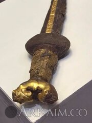 53882740 2080262272070494 3559447970397028352 N