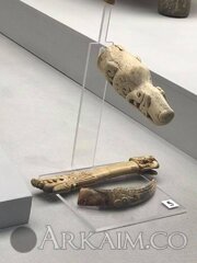 53882704 2085591668204221 3882221845092499456 N