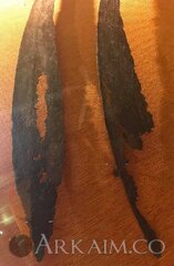 53246871 2060903554006366 6926397190214516736 N