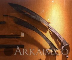 53020212 2060903477339707 4990865621311815680 N