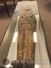 52024060 2044494482313940 5219496024787124224 N