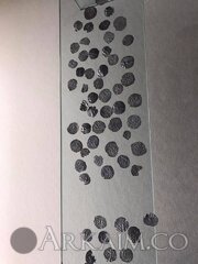 52602737 2044494122313976 4865716476239151104 N