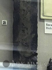 51001527 2023571844406204 5483611344982769664 N