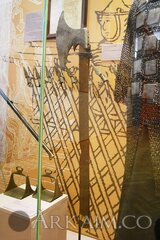 66349717 2754460221248450 2032569478713180160 N