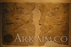 3980551994 4857a4790c B