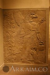 3980553250 b208fc3878 B