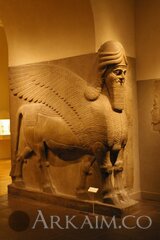 3979793799 7aa829162a B