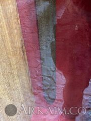 115749601 3104875016275876 7286178552768048995 N