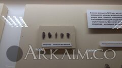 photo_2020-09-09_19-05-13 (2).jpg