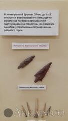 photo 2020 09 09 19 05 10 (3)