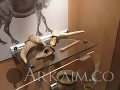 IMG f9170e7678124ba5f5feb14ab772b36c V