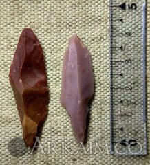 photo 2019 09 23 21 21 35