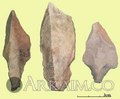 photo 2019 09 23 21 44 45