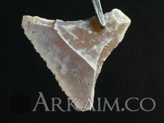 photo 2019 09 23 21 59 18