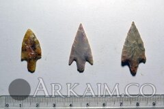 photo 2019 09 25 23 38 29