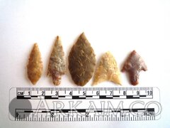 photo 2019 09 23 21 09 23