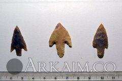 photo 2019 09 25 23 37 42