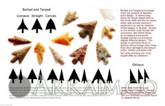 photo 2019 09 23 21 09 34