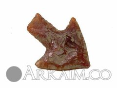 photo 2019 09 23 21 17 51