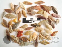 photo 2019 09 23 21 09 26