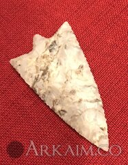 photo 2019 09 23 21 19 38