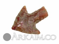 photo 2019 09 23 21 17 54