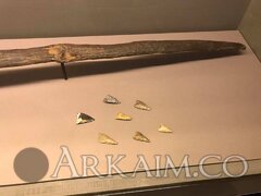 48364892 1956728957757160 2090405431011704832 N