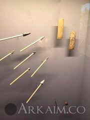 48366216 1956728967757159 8325080966926172160 N