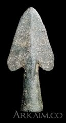 BackgroundEraser 20231109 164739539~2