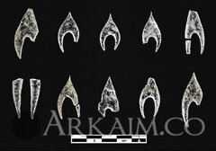 photo 2021 01 25 09 50 30