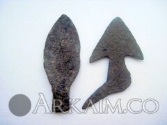 Новые находки 1720