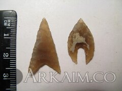 photo 2019 09 23 20 34 47