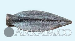 BackgroundEraser 20231109 164545101~2