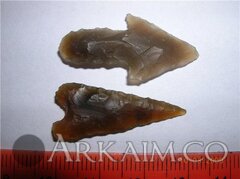 photo 2019 09 23 20 49 46