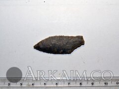 photo 2019 09 25 23 36 26