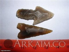 photo 2019 09 23 20 49 43