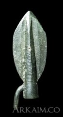 BackgroundEraser 20231110 190949578~2