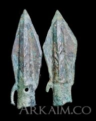 BackgroundEraser 20231109 094006015~2