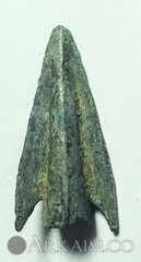 Screenshot 20220129 163237 com.whatsapp~5