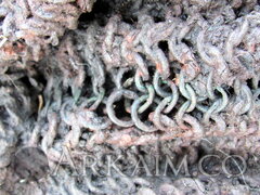 5132223774826bbc82b9f129687d63a4