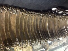 information items 1166