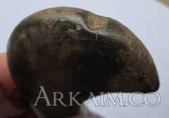 photo 2019 09 23 21 22 42