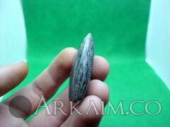 photo 2019 09 25 18 21 01