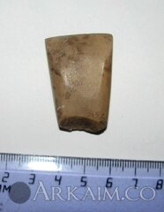 photo 2019 09 25 18 22 09