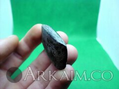 photo 2019 09 25 18 20 56